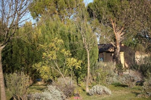 Camping Le Dolium