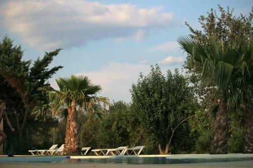 Camping Le Dolium