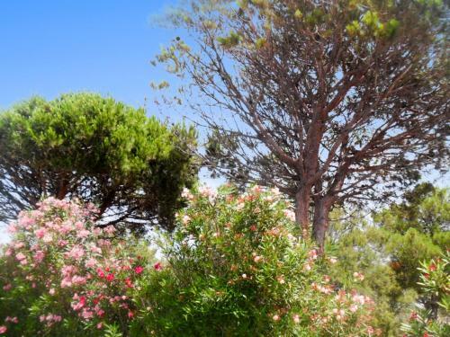 Holiday Home Rue Sombrero