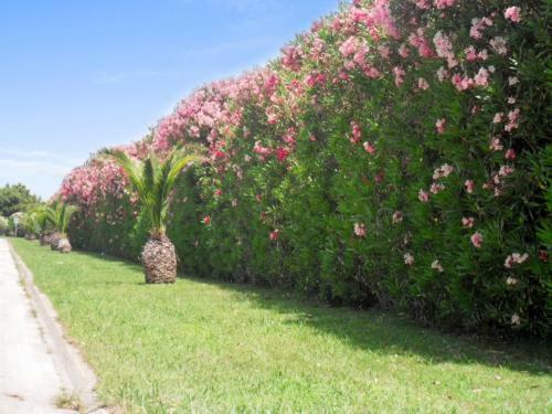 Holiday Home Rue Sombrero