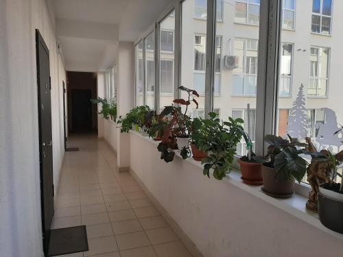 Apartment Armyanskaya 49