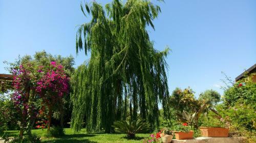 Bed & Breakfast La Casa Dei Sogni