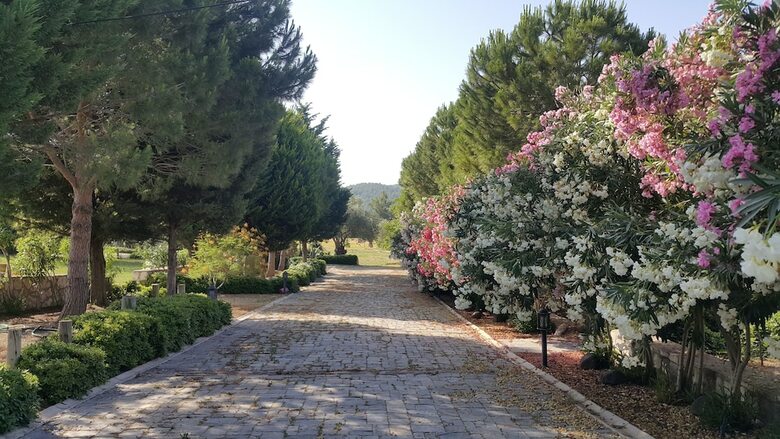 Bed & Breakfast Urla Ciftlik Otel