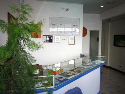Hotel Hojarascas