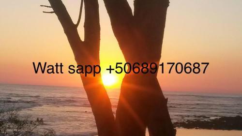 Marina Loft Apart-hotel
