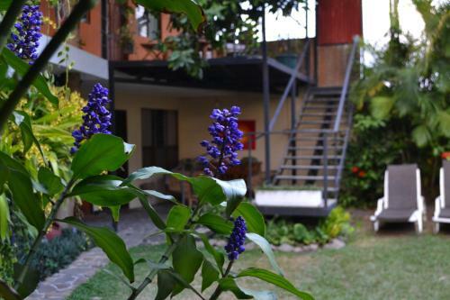 Mi Casa Hostel