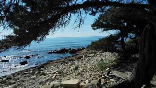 Zefiro