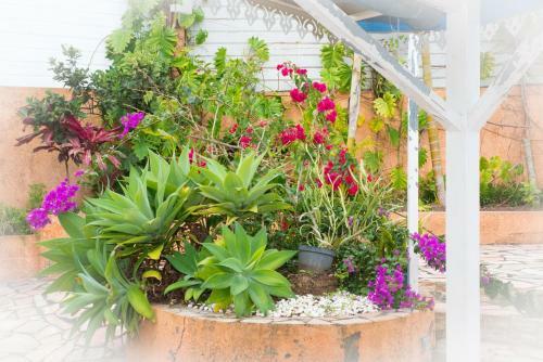 Bed & Breakfast Ti Kaz Hoareau