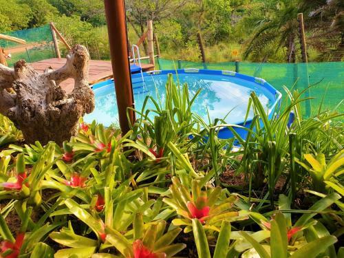 Hib Escape Villa