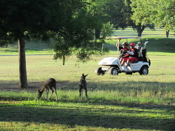 Hotel Matumi Golf Lodge