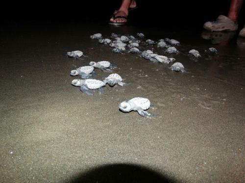 Posada Tur�stica Rocas De Cabo Marzo