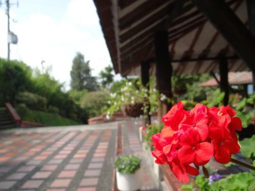 Villa Finca San Fernando