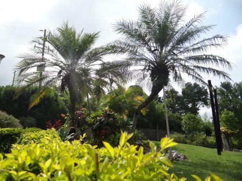 Villa Finca San Fernando