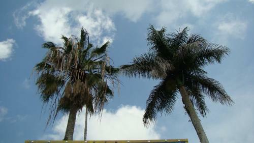 Villa Finca San Fernando