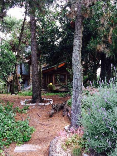 Bed & Breakfast Almohada De Piedra