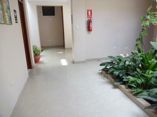 Hostal Alojamiento "selva Del Sol"
