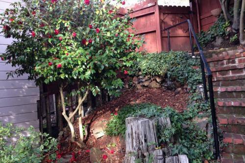 Apartamento Garden Studio In Montclair Hills
