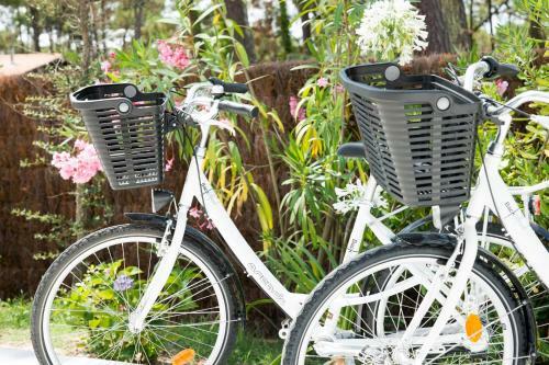 Hostal Ferret Vigne Villa D'h�tes