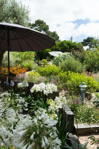 Hostal Ferret Vigne Villa D'h�tes