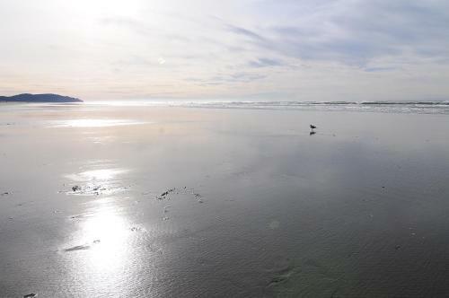 Beach Haven