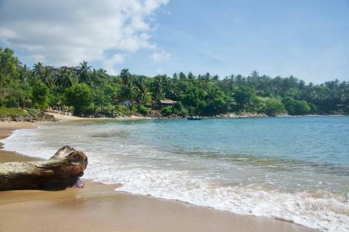 Tuk Tuk Bay Surf Beach