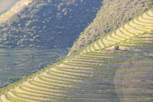 Villa Casa Do Vale De Cerdeiras