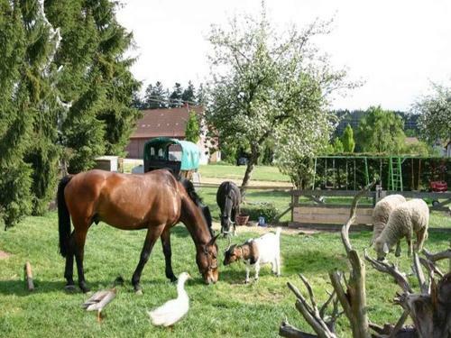 Apartamento Ferienhof Hirschfeld