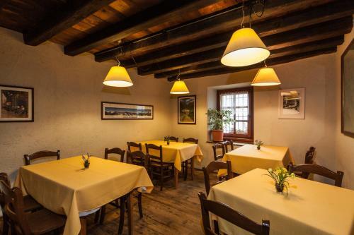 Agroturismo Agriturismo Il Vecchio Torchio