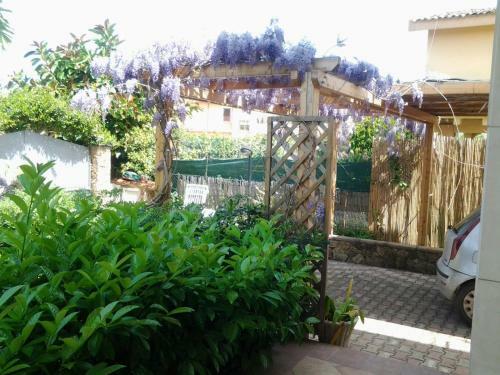 Apartamento Appartamento Arenella