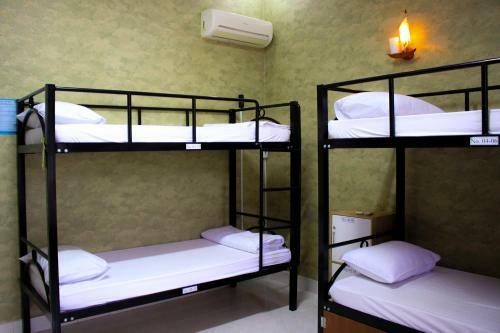Gecko Hostel