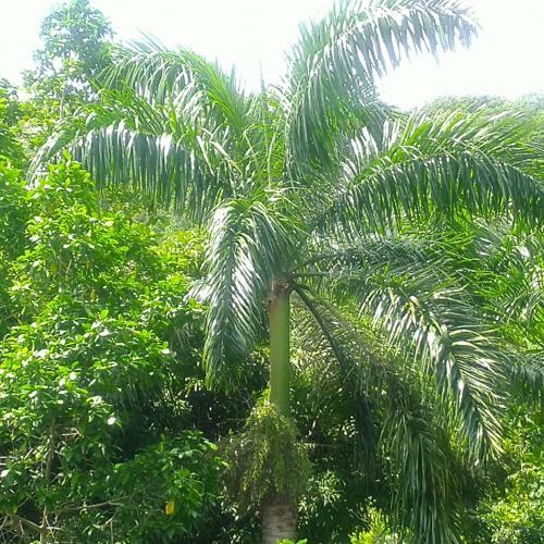 Apartamento Tha Lagoon Spot
