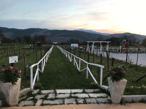 Bed & Breakfast Ca' Del Conte Agrihouse