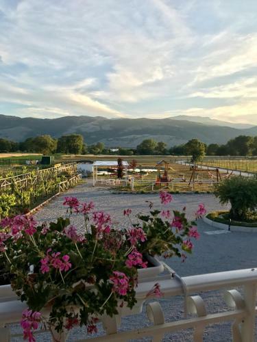 Bed & Breakfast Ca' Del Conte Agrihouse