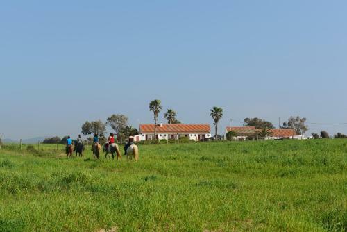 Agroturismo Herdade Do Pessegueiro
