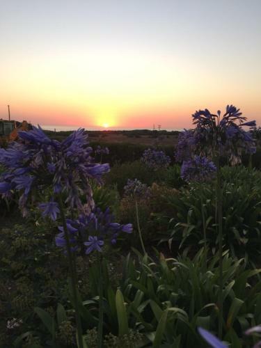 Agroturismo Herdade Do Pessegueiro