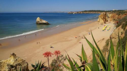 Ruby Red & Atlantic Blue Apartments In Oceano Atlantico