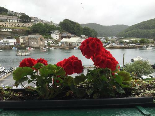 Hostal Dolphin Guest House