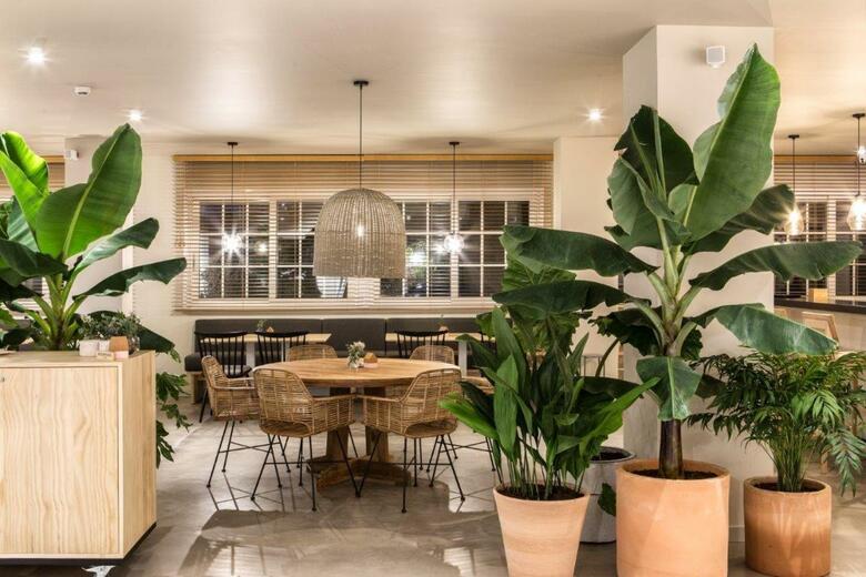Apartamentos Dena