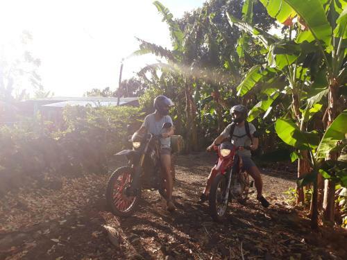 Agroturismo Bananas Guest House