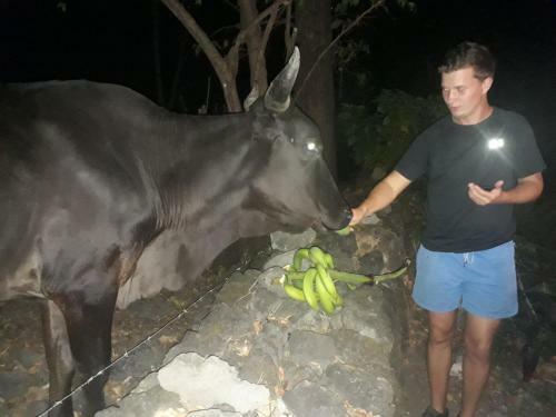 Agroturismo Bananas Guest House