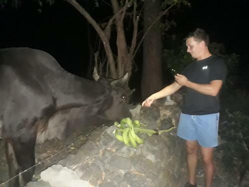 Agroturismo Bananas Guest House