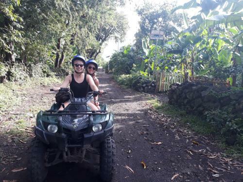 Agroturismo Bananas Guest House
