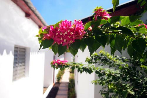 Hotel Island Guesthouse & Caf�