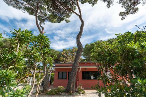 Camping Village Bocche D'albegna