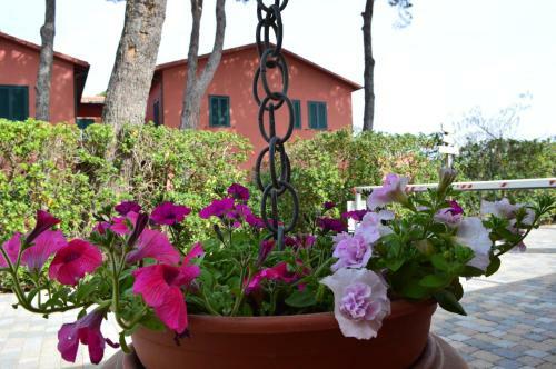 Camping Village Bocche D'albegna
