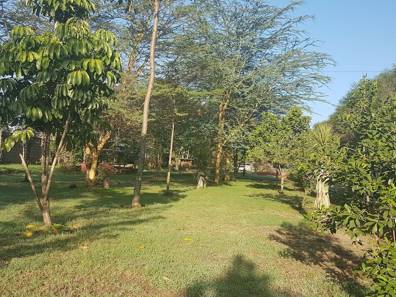 Hotel Kivu Resort