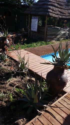Kosi Bay Lodge