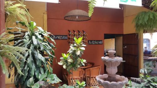 Hotel La Renacuaja