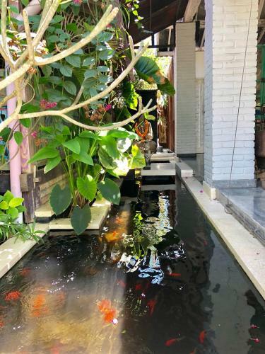 Bed & Breakfast Villa Hari Indah