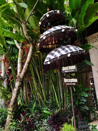 Bed & Breakfast Villa Hari Indah